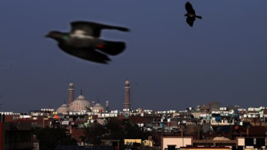 Photo of दिल्ली-एनसीआर में दिन में खिली धूप से मिली राहत