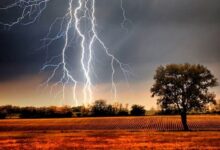 Photo of शहडोल: आकाशीय बिजली गिरने से चार की मौत…