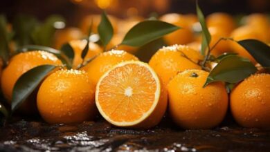 Photo of बदलते मौसम में किन्नू खाने से मिलते हैं ये 5 बड़े फायदे