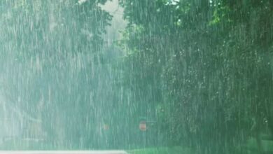 Photo of पहाड़ी इलाकों में होगी बर्फबारी, दिल्ली में आंधी और बिजली के साथ बारिश के आसार