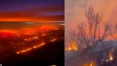 Photo of टेक्सस में भीषण आग ने मचाया कहर, सैकड़ों जानवर और कई घर जले
