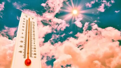 Photo of WMO Report : 2023 की तुलना में इस साल मौसम में होगा सुधार