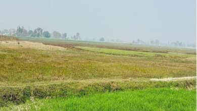 Photo of चार करोड़ रुपये से पर्यटन स्थल बनेगी छीतूपुर की झील