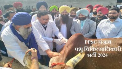 Photo of आज से करें पंजाब में पशुचिकित्सा अधिकारियों भर्ती के लिए आवेदन