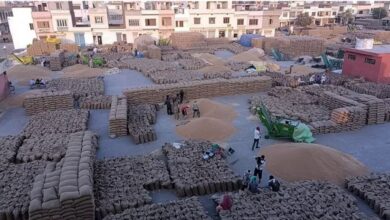 Photo of हरियाणा: आज प्रदेश में बंद रहेंगी मंडी, सिर्फ गेहूं-सरसों का उठान होगा