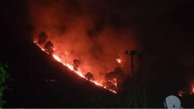 Photo of उत्तराखंड: कई जगह काबू में नहीं आ रही आग