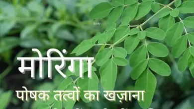 Photo of Benefits of Moringa. मोरिंगा के फायदे