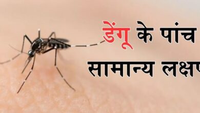 Photo of इन सामान्य लक्षणों से करें डेंगू की पहचान