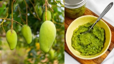 Photo of गर्मियों में बनाएं कच्चे आम से बनी ये स्वादिष्ट डिशेज,