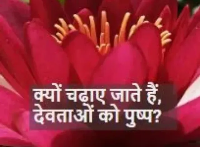 Photo of क्यों चढ़ाएं जाते हैं, देवताओं को पुष्प