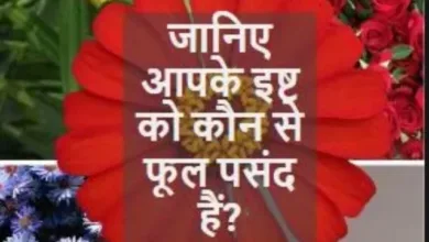 Photo of आपके इष्ट को कौन से फूल पसंद हैं?