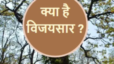 Photo of क्या है विजयसार ?