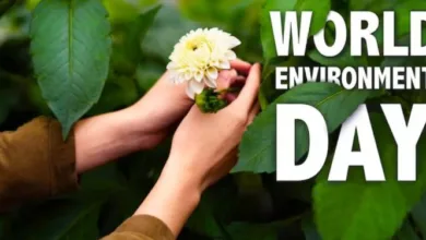 Photo of इस थीम के साथ सेलिब्रेट किया जा रहा है इस बार विश्व पर्यावरण दिवस