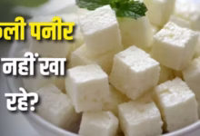 Photo of पनीर समझकर कहीं ‘एनालॉग’ तो नहीं खा रहे? जानिए क्या है ये चीज