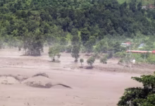 Photo of बाढ़ के रौद्र रूप के बीच मसीहा बना ‘आम का पेड़’