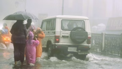Photo of बिगड़ा रहेगा मौसम, मूसलाधार बारिश का अलर्ट; आज देहरादून में बंद रहेंगे स्कूल