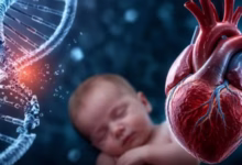 Photo of DNA की 3D संरचना बिगड़ने से बच्चों में बढ़ता है हृदय दोष का खतरा