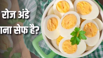 Photo of रोज अंडा खाने से बालों से लेकर दिमाग तक, शरीर में होंगे ये शानदार बदलाव
